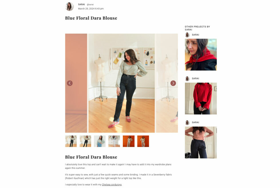 [image-10: Screenshot of a project post in the Seamwork Community with detailed notes]